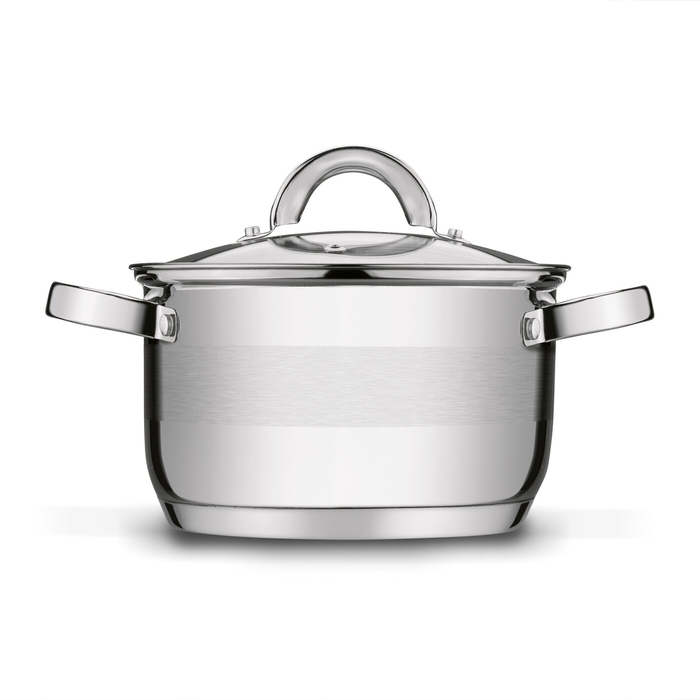 hrnec d20cm+PO sklo, ( 3,3l) ROGER, indukce, NR